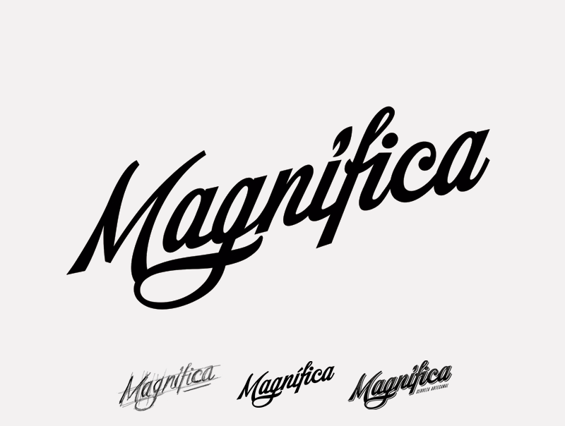 16b51949620097.58b9a44945df9