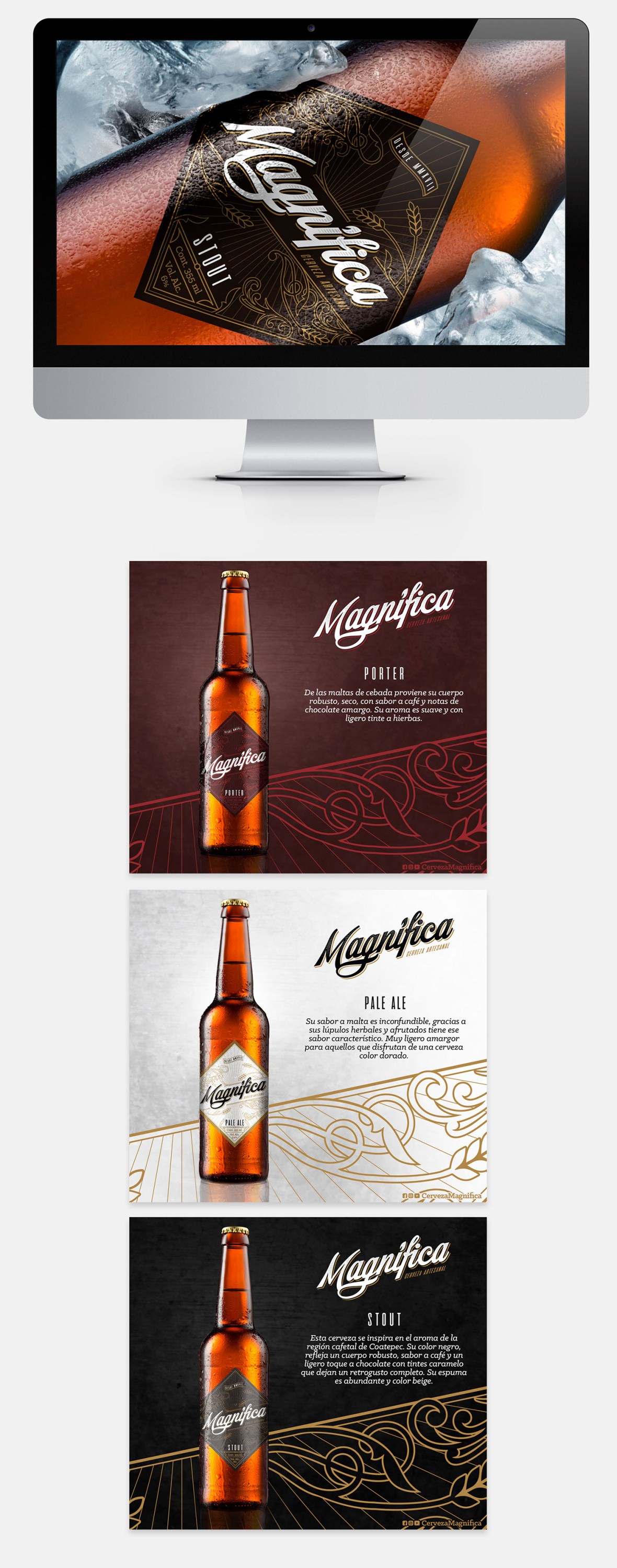 c45d1549620097.58b9b2c10338a